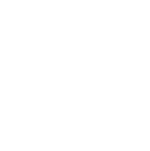 Conan Gray logo